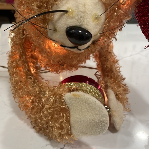 Indoor/Outdoor Christmas 🎄 Kitty Decor with Lights - Picture 5 of 16